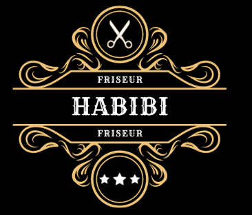 Webdesign und SEO Berlin Referenz Habibi
