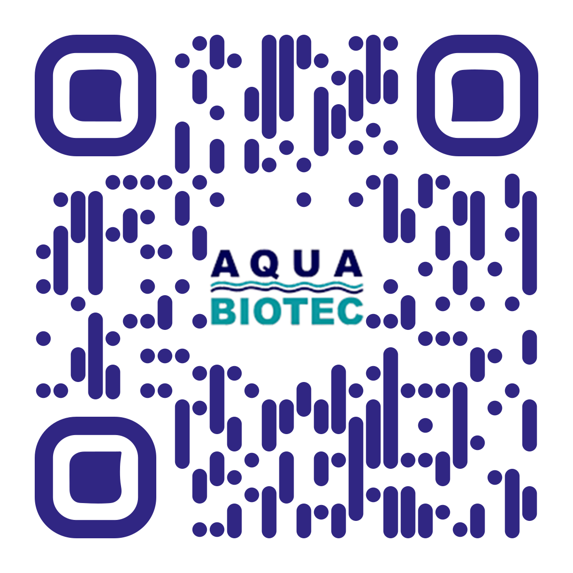 Webdesign und SEO Berlin Referenz qr-code.png